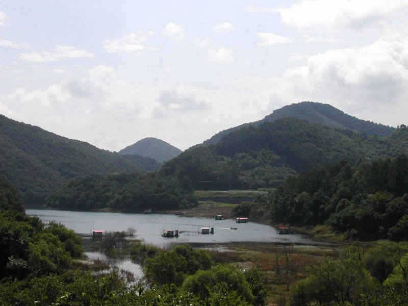 충주호 하천 명서낚시터 소식입니다 (조황조행기 - 특파원조황)