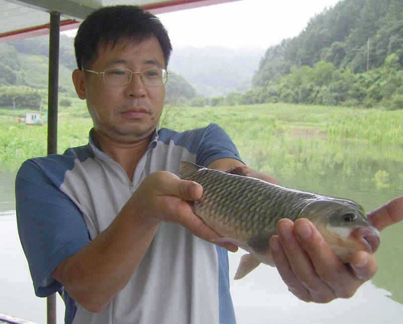 오름수위의 충주호 395cm대물붕어 소식입니다 (조황조행기 - 특파원조황)