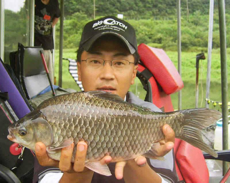 오름수위의 충주호 395cm대물붕어 소식입니다 (조황조행기 - 특파원조황)