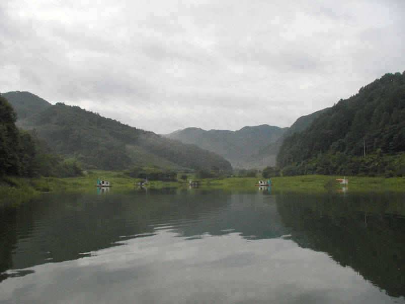 충주호 하천 솔낚시터 소식입니다 (조황조행기 - 특파원조황)