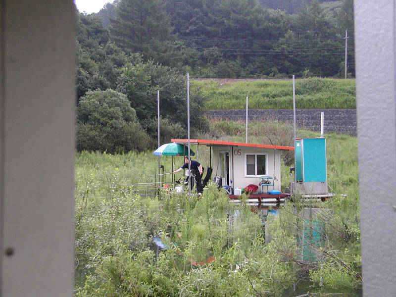 충주호 하천 솔낚시터 소식입니다 (조황조행기 - 특파원조황)