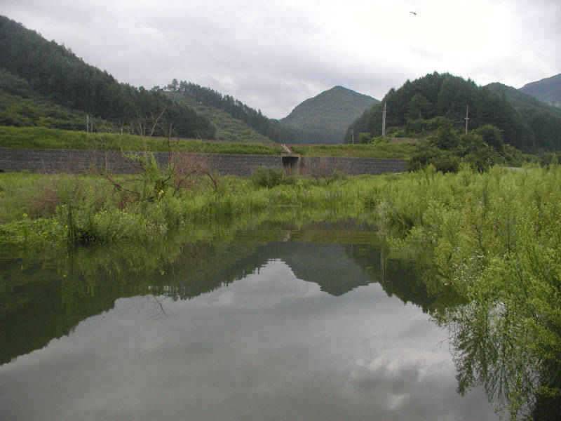 충주호 하천 솔낚시터 소식입니다 (조황조행기 - 특파원조황)