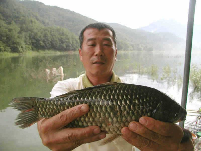 충주호 하천 솔낚시터 소식입니다 (조황조행기 - 특파원조황)