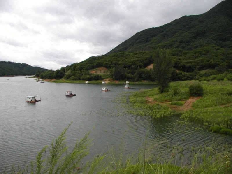 충주호 하천 솔낚시터 소식입니다 (조황조행기 - 특파원조황)