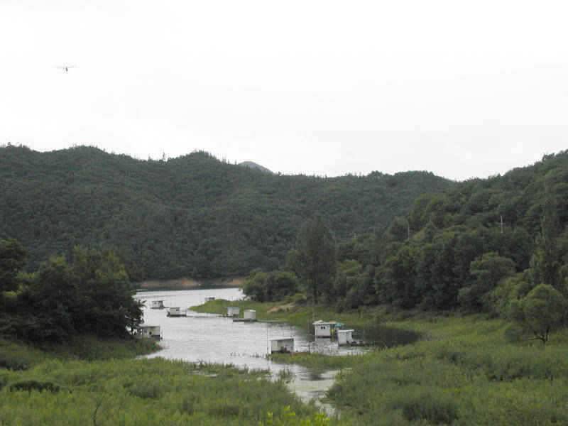 충주호 하천 솔낚시터 소식입니다 (조황조행기 - 특파원조황)
