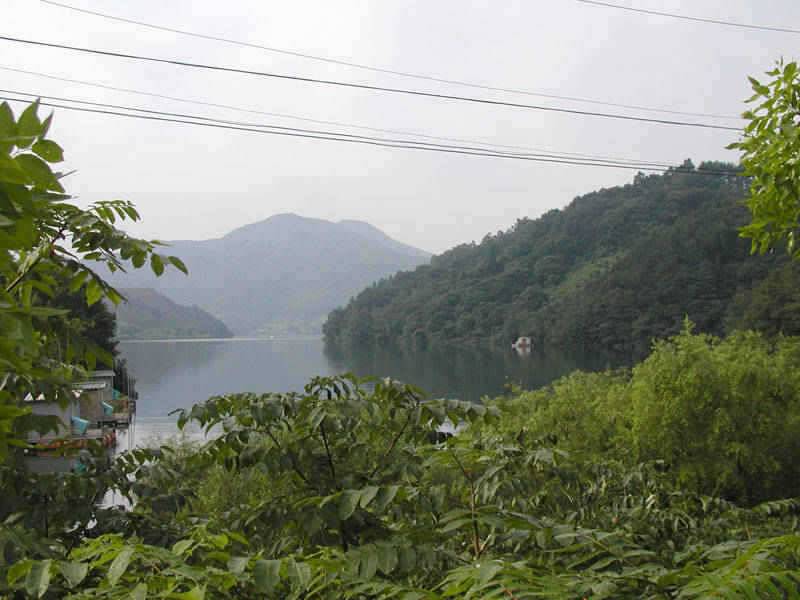 충주호 붕어 장어낚시 소식입니다 (조황조행기 - 특파원조황)