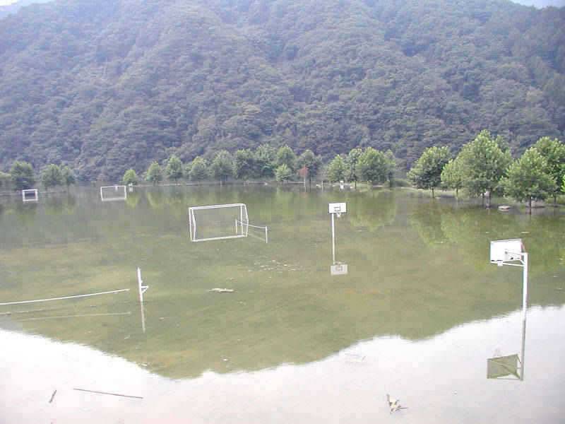 충주호 붕어 장어낚시 소식입니다 (조황조행기 - 특파원조황)