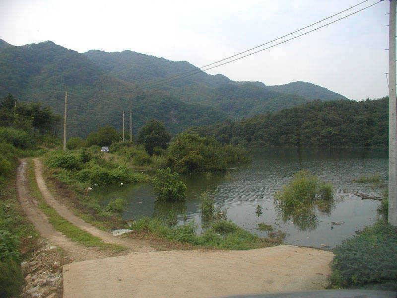 충주호 붕어 장어낚시 소식입니다 (조황조행기 - 특파원조황)