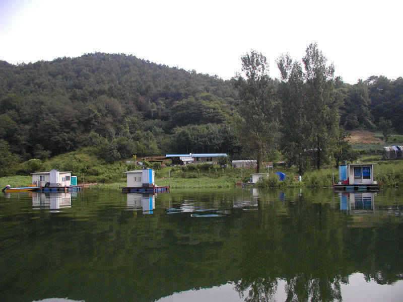충주호 붕어 장어낚시 소식입니다 (조황조행기 - 특파원조황)