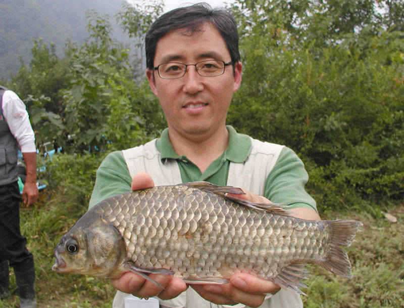 충주호 오산리의 월척붕어와 강준치 명서리의 마릿수붕어 (조황조행기 - 특파원조황)