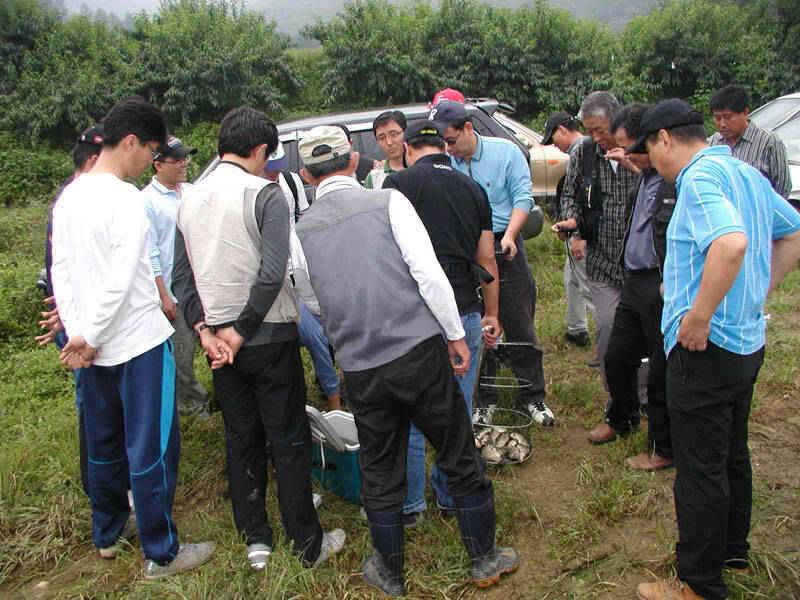 충주호 오산리의 월척붕어와 강준치 명서리의 마릿수붕어 (조황조행기 - 특파원조황)