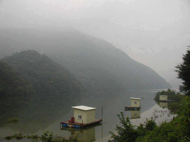 충주호 오산리의 월척붕어와 강준치 명서리의 마릿수붕어 (조황조행기 - 특파원조황)