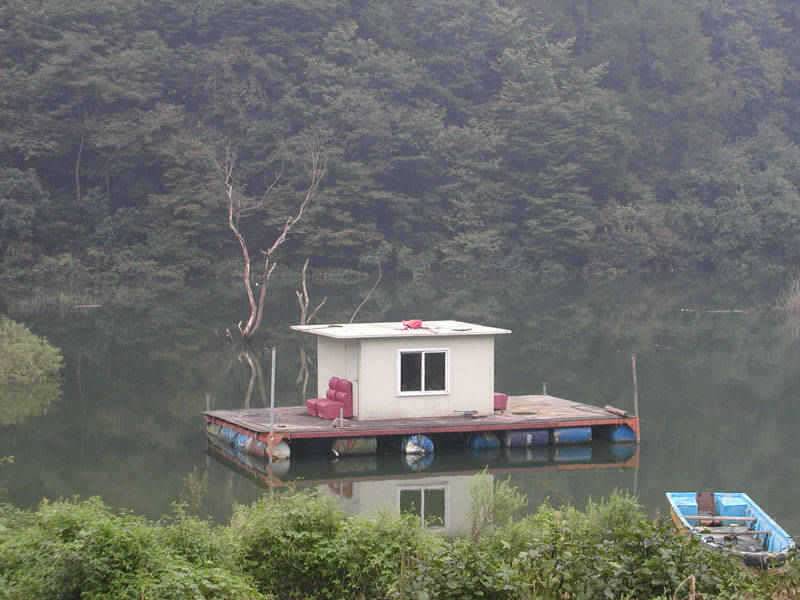 충주호 오산리의 월척붕어와 강준치 명서리의 마릿수붕어 (조황조행기 - 특파원조황)