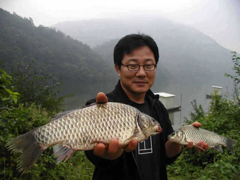 충주호 오산리의 월척붕어와 강준치 명서리의 마릿수붕어 (조황조행기 - 특파원조황)