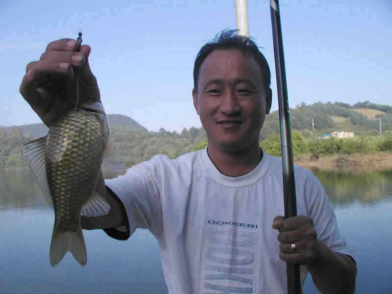충주호 날씨좋고 수위안정되고 조황이 살아나고 있습니다 (조황조행기 - 특파원조황)