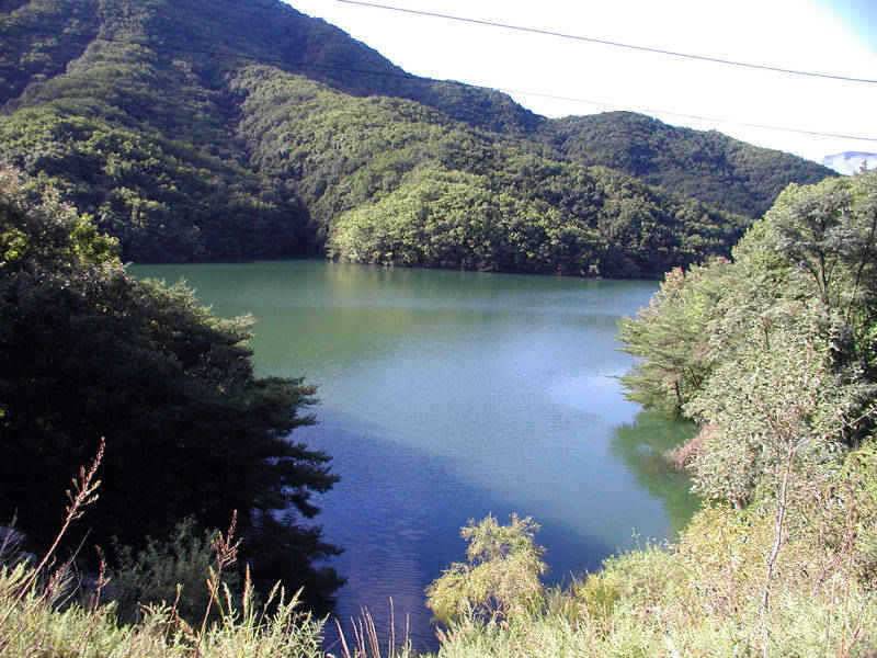 충주호 날씨좋고 수위안정되고 조황이 살아나고 있습니다 (조황조행기 - 특파원조황)
