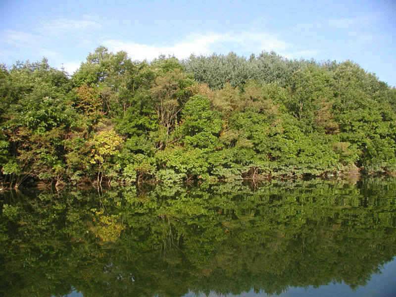 충주호 날씨좋고 수위안정되고 조황이 살아나고 있습니다 (조황조행기 - 특파원조황)