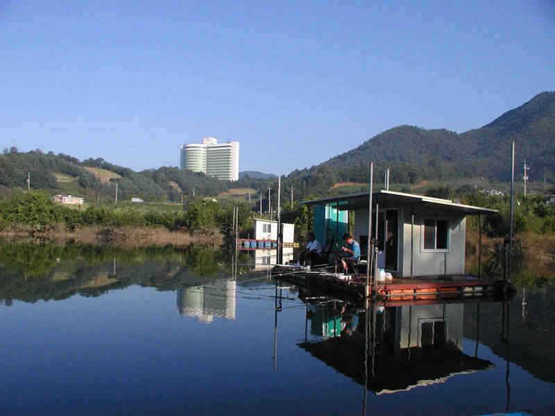 충주호 날씨좋고 수위안정되고 조황이 살아나고 있습니다 (조황조행기 - 특파원조황)