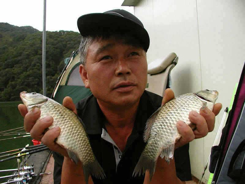 충주호 풍성한 한가위에 조황도 대박입니다 (조황조행기 - 특파원조황)