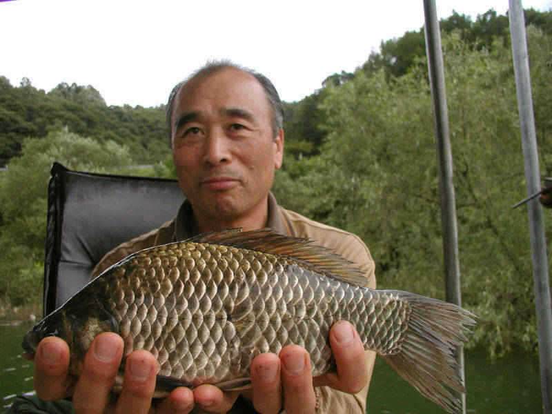 충주호 풍성한 한가위에 조황도 대박입니다 (조황조행기 - 특파원조황)