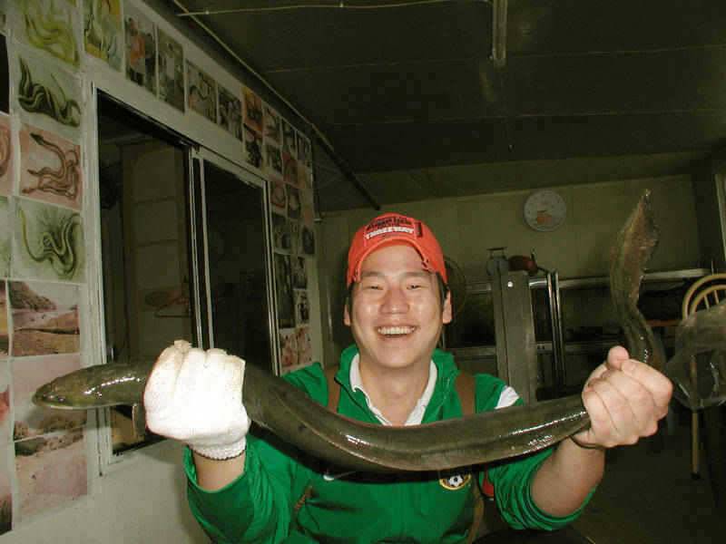 충주호 한가위 선물로 1kg의 대물장어를 낚으셨네요 (조황조행기 - 특파원조황)