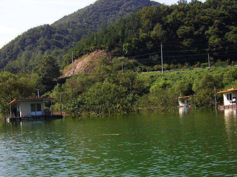 충주호 2627일 장어 붕어조황입니다 (조황조행기 - 특파원조황)