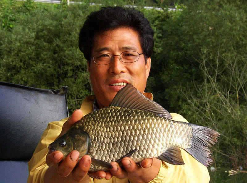 충주호 2627일 장어 붕어조황입니다 (조황조행기 - 특파원조황)