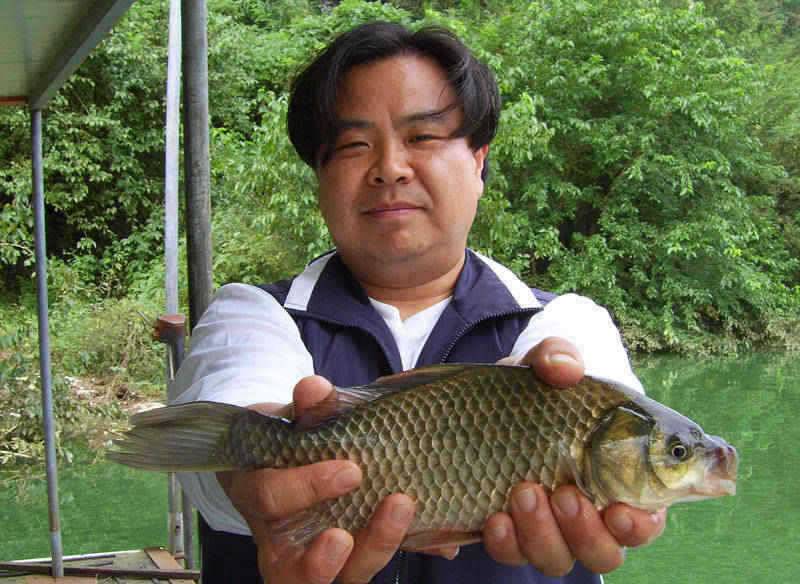충주호 씨알좋은 가을 붕어를 만나봐요 (조황조행기 - 특파원조황)