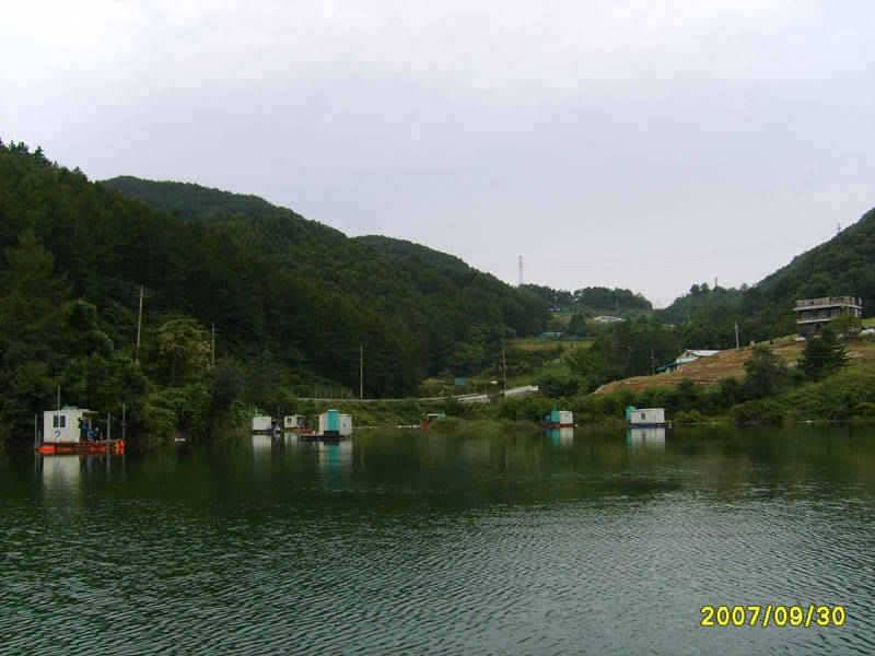 충주호 가을은 무르익고 월척이 기다리는 곳 주말조황 소식입니다 (조황조행기 - 특파원조황)