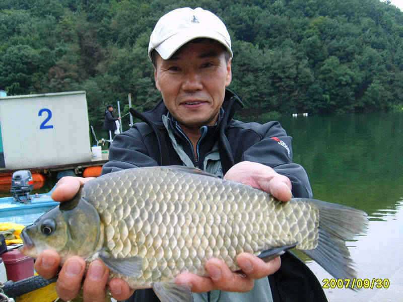 충주호 가을은 무르익고 월척이 기다리는 곳 주말조황 소식입니다 (조황조행기 - 특파원조황)