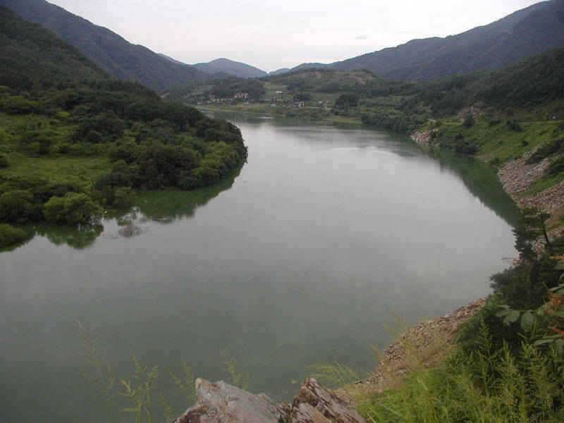 충주호 명서낚시터 조황소식 및 쏘가리 모습입니다 (조황조행기 - 특파원조황)