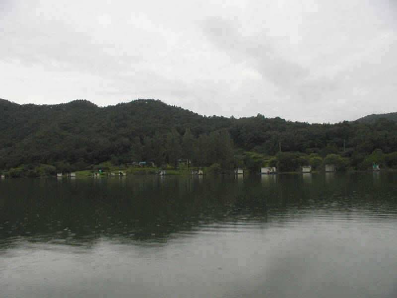 충주호 명서낚시터 조황소식 및 쏘가리 모습입니다 (조황조행기 - 특파원조황)