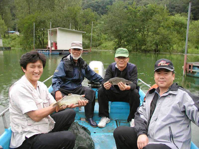 충주호 명서낚시터 조황소식 및 쏘가리 모습입니다 (조황조행기 - 특파원조황)