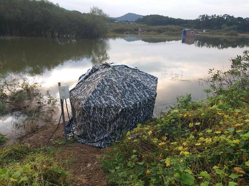 고삼지10월 첫주 소식 (조황조행기 - 특파원조황)