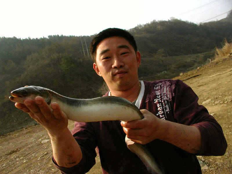 시즌을 맞고있는 충주호 소식입니다 (조황조행기 - 특파원조황)