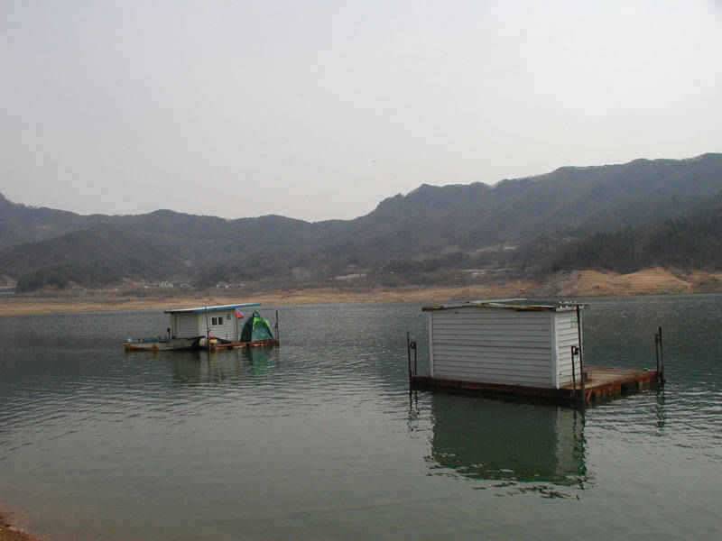 시즌을 맞고있는 충주호 소식입니다 (조황조행기 - 특파원조황)
