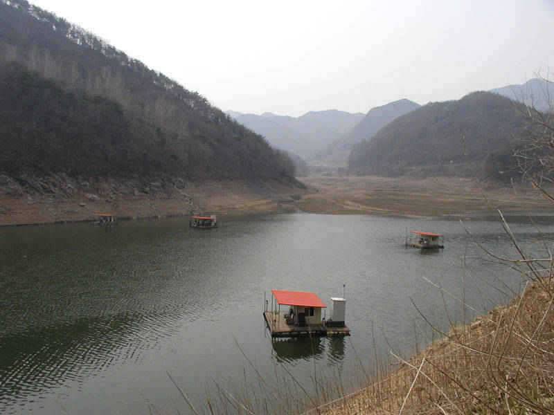 시즌을 맞고있는 충주호 소식입니다 (조황조행기 - 특파원조황)