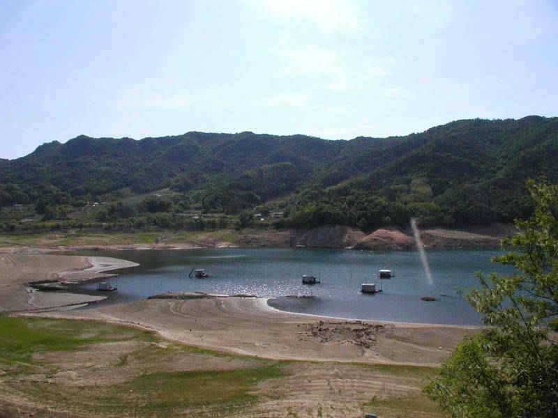 충주호 월척붕어 장어 조황 소식입니다 (조황조행기 - 특파원조황)