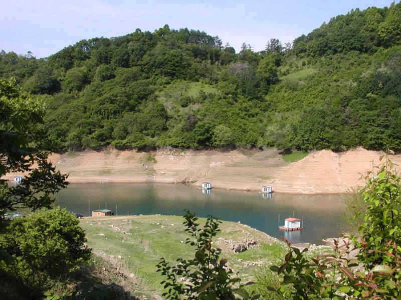 충주호 월척붕어 장어 조황 소식입니다 (조황조행기 - 특파원조황)