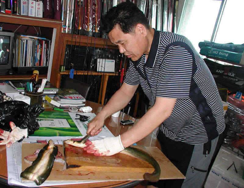 충주호 장어낚시 입질이 살아나고 있습니다 (조황조행기 - 특파원조황)