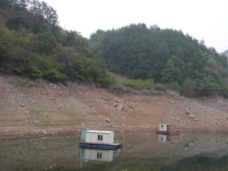 충주호 이제 월척의 그림자가 보이기 시작하네요 (조황조행기 - 특파원조황)