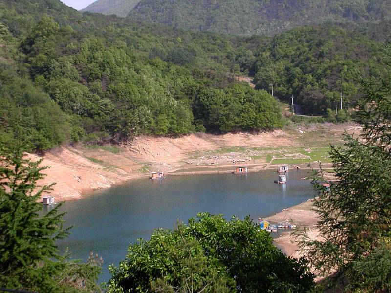 충주호 이제 월척의 그림자가 보이기 시작하네요 (조황조행기 - 특파원조황)