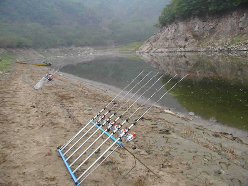 충주호 명서리에서 제법굵은 씨알의 장어가 낚였습니다 (조황조행기 - 특파원조황)