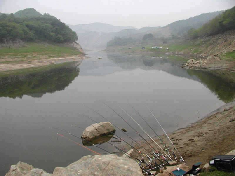 충주호 명서리에서 제법굵은 씨알의 장어가 낚였습니다 (조황조행기 - 특파원조황)