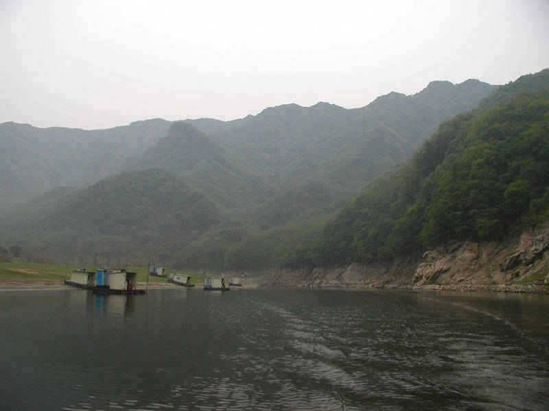 충주호 명서리에서 제법굵은 씨알의 장어가 낚였습니다 (조황조행기 - 특파원조황)