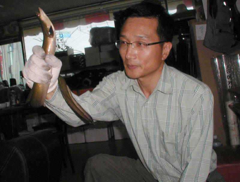 충주호 44cm대물붕어 및 장어조황 소식입니다 (조황조행기 - 특파원조황)