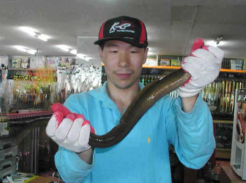 충주호 44cm대물붕어 및 장어조황 소식입니다 (조황조행기 - 특파원조황)