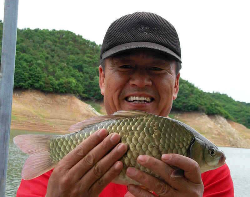 충주호 월척붕어 소식에 15kg의 대물장어 소식입니다 (조황조행기 - 특파원조황)