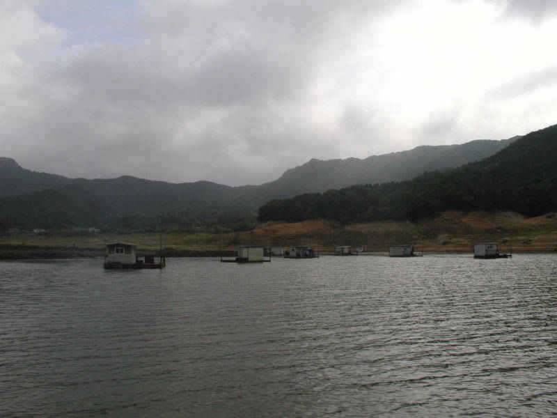 충주호 서운리 솔 낚시터 월척행진이 이어지다 (조황조행기 - 특파원조황)