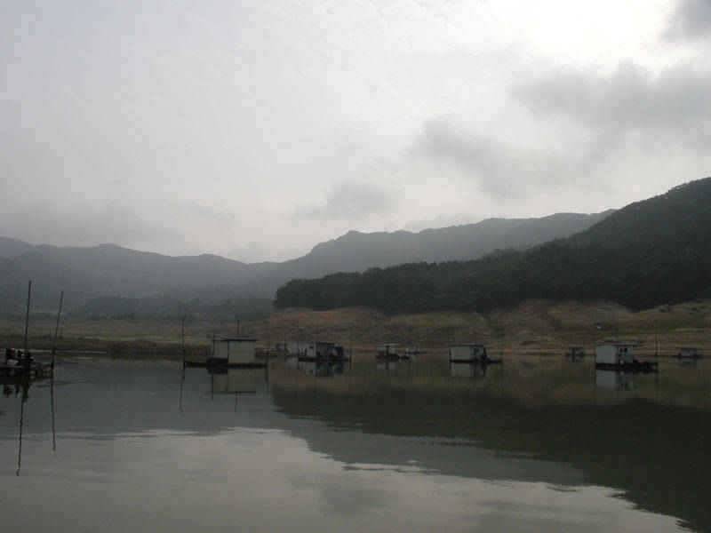 충주호 37cm 대물붕어의 모습입니다 (조황조행기 - 특파원조황)